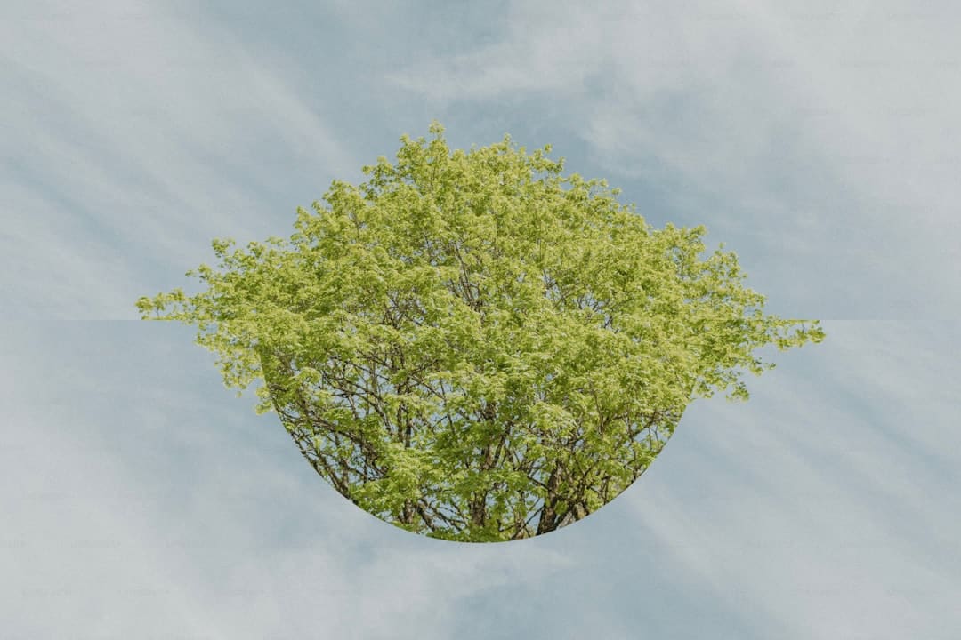 长泰：筑牢防汛屏障，溪东排涝站应急电源提前一周通电！
